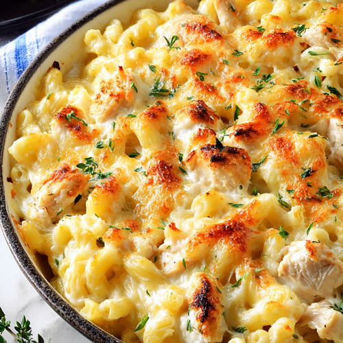 Delish Chicken Alfredo Pasta Bake